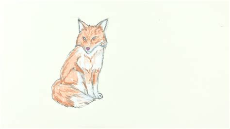 How to Draw a Fox: A Step-by-Step Guide