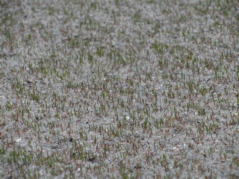 Ivy Ridge Golf Links