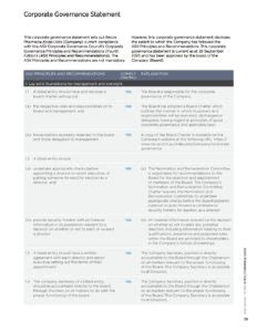Corporate Governance Statement Example 的图像结果