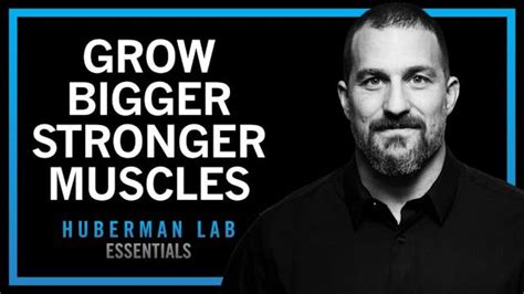 Image result for Huberman Lab Muscles Podcast