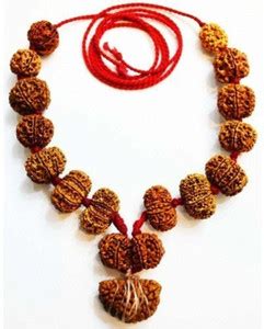 AJ 20 mm Siddha Rudraksha Mala (1-14 Mukhi, Ganesh and Gauri Shankar ...