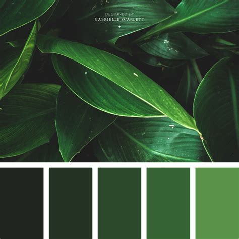 Green Colour Palettes for Your Next Project | Color Inspiration