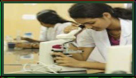 B.Tech-Biomedical Engineering · Top 10 Best Private Universities in ...