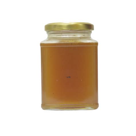 Wild Neela Kurinji Flower Nectar - Rare And Special Nectars (Seasonal ...