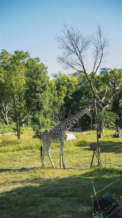 Top 10 Biggest Zoos In India 2019 Most Popular Zoos List