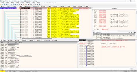 X64dbg Tutorial 的图像结果