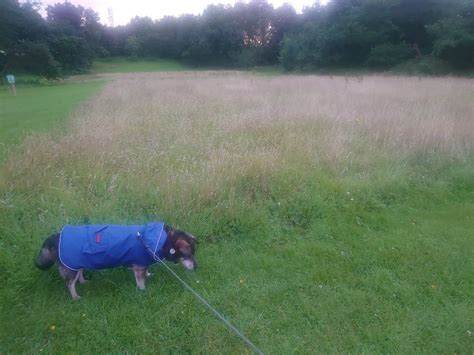 DAYS INN GRETNA GREEN A74 (Scotland) - Hotel Reviews, Photos, Rate ...