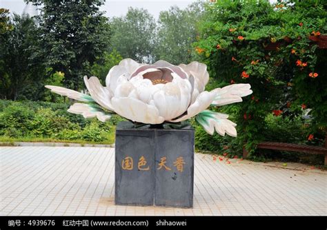 牡丹园牡丹雕塑高清图片下载_红动中国