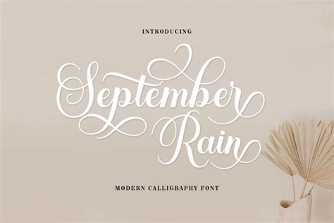 Image result for Rain Script