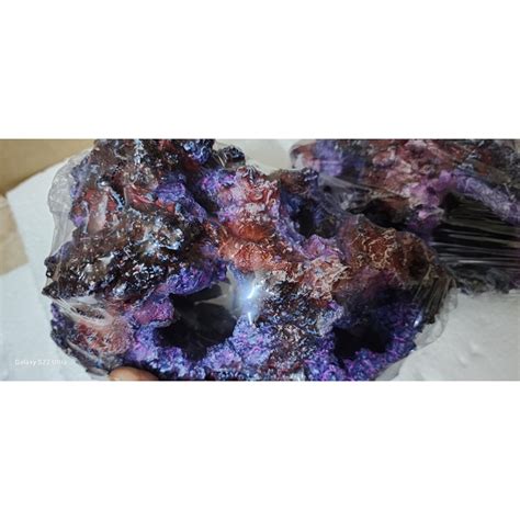 LCA-CICHLID HIDING ROCK