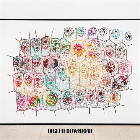 Biology Poster PNG 的图像结果