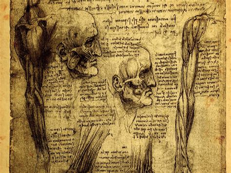 医学 的图像结果