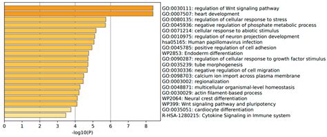 Transcriptome Profiling Associated with CARD11 Overexpression in ...