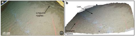 Discovering the Fine-Scale Morphology of the Gulf of Cádiz: An ...