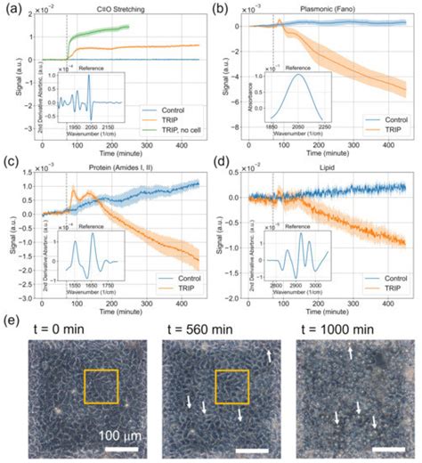 Probing the Drug Dynamics of Chemotherapeutics Using Metasurface ...