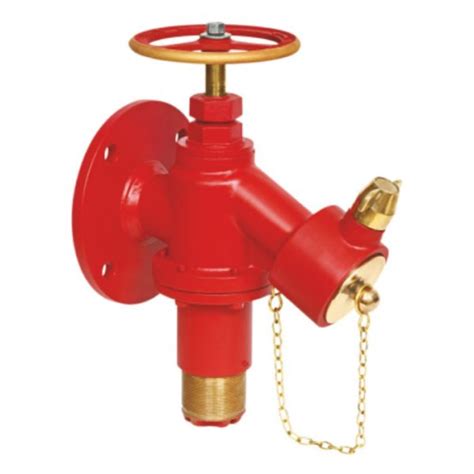 Image result for Pressure Regulating Valve Fire Protection