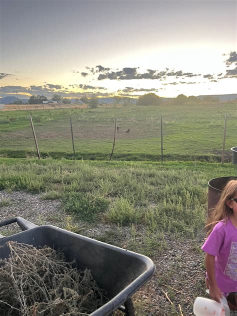 M&E Ranch Camping | Durango, CO