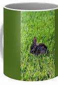Image result for Baby Easter Bunny Ears