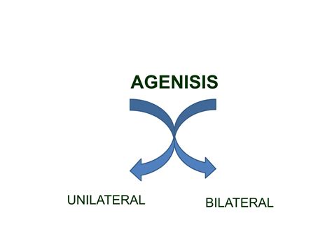 Congenital Development of Urinary System.pptx