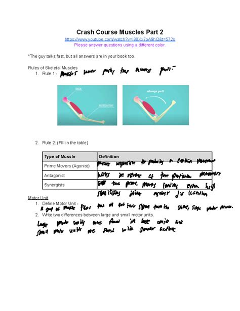 Crash Course Muscles 的图像结果