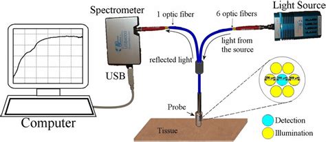Image result for Diffuse Reflectance Probe
