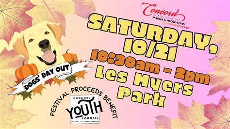 Dog's Day Out Festival | Explore Cabarrus