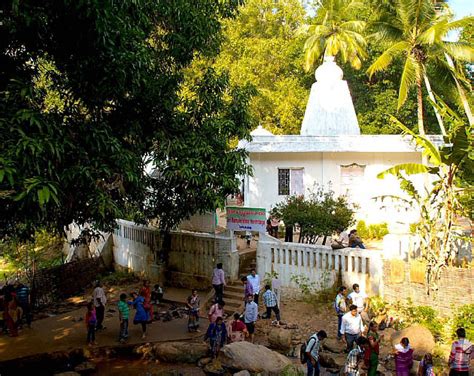 Maredumilli Forest, Maredumilli Resorts, Maredumilli Waterfalls ...