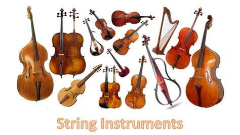 Image result for Stringed Instruments