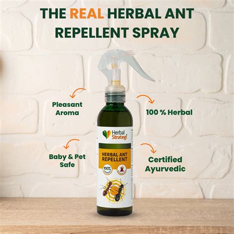 Herbal Ant Repellent Spray | Non - toxic | plant-based | 100% Herbal ...