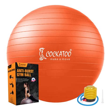 Cockatoo Anti-Burst Exercise & Fitness Gym Ball with Foot Pump ...