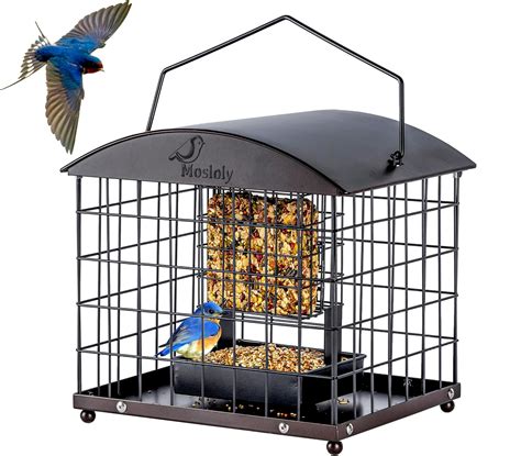 Caged Suet Feeders Squirrel-Proof, Dual-Purpose Suet &Seed Wild Bird ...