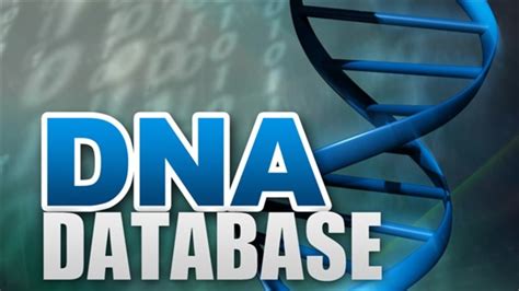 DNA Database 的图像结果