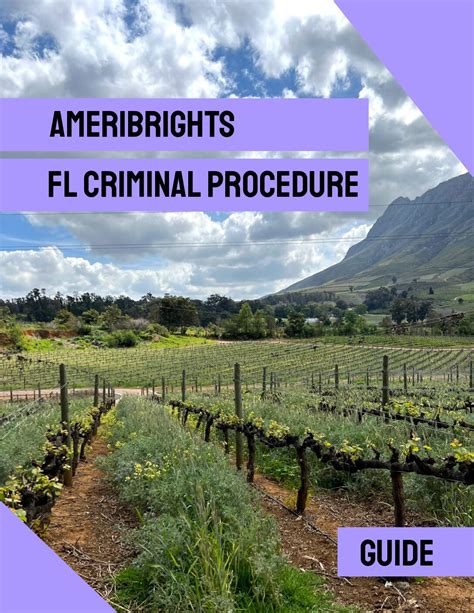 Florida Bar Exam & MBE/UBE Study Guides – Ace Your Exam