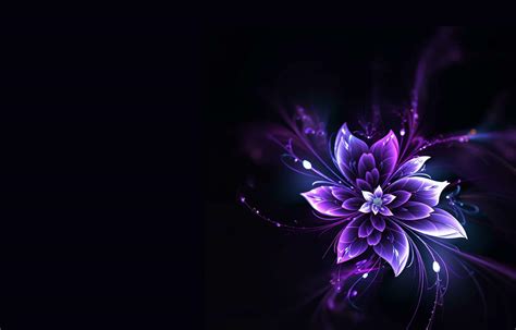 Purple Flowers with Black Background
