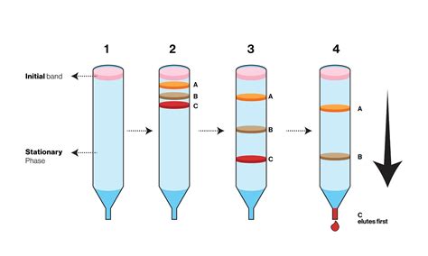 Gel Chromatography Significance at Sandra Herring blog