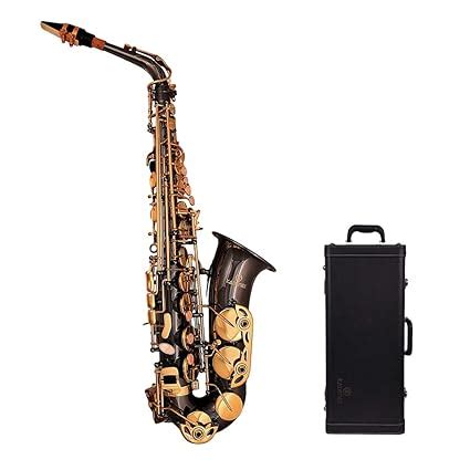 Kadence Alto Saxophone Black Gold, Leather Case, Mouthpiece, Polishing ...