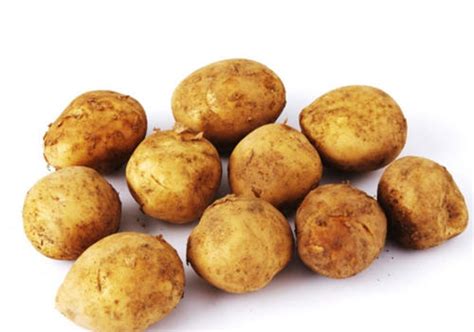 土豆怎么种_青岛金满地马铃薯有限公司