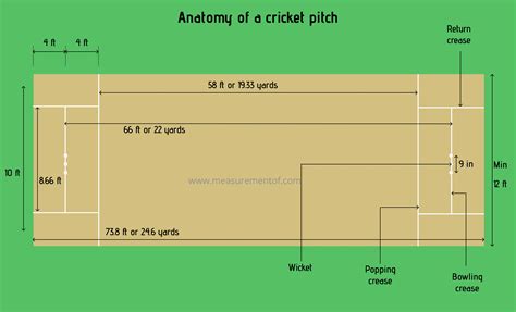 All About Cricket Pitch Size And Dimensions