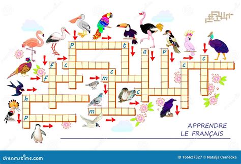 Crossword Puzzle Game with Different Birds. Learn French. Educational ...