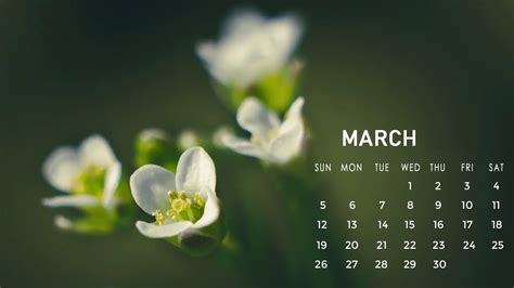 March Wallpapers 4K, HD Are Filled With Spring Colors [DOWNLOAD]