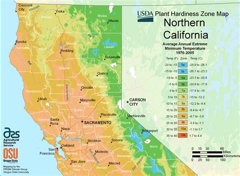 North California Plant Hardiness Zone Map • Mapsof.net