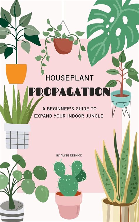 Houseplant Propagation: A Beginner's Guide to Expanding Your Indoor ...