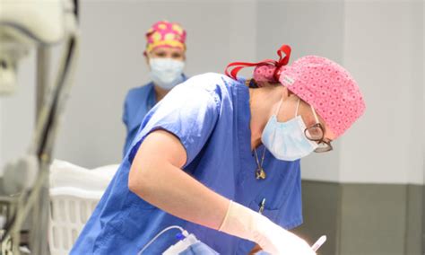 Bildergebnis für north carolina surgical associates