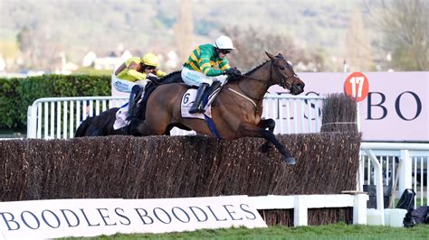 Grand National: Cheltenham Gold Cup winner Inothewayurthinkin ruled out ...