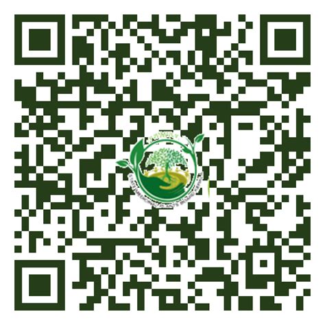 Aristolochia tagala, Garudakodi, Eswaramulla, Valiya arayan, Oval leaf ...