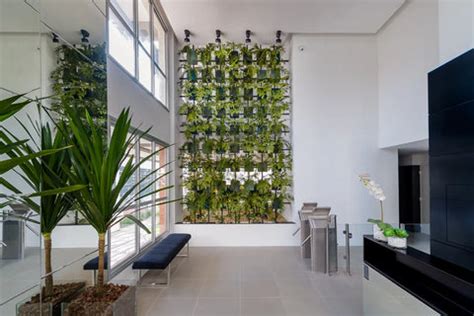 How to Start a Garden: 10 Easy Steps for Beginners – Gardengram