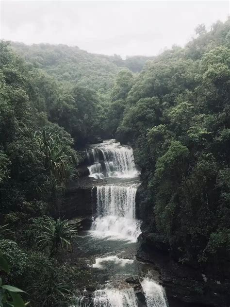 8 Waterfalls and Wilderness in Indian National Parks | EconomicTimes