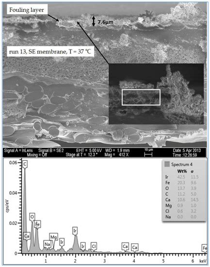 Foulant Analysis of Three RO Membranes Used in Treating Simulated ...