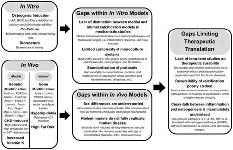 Journal of Cardiovascular Development and Disease | An Open Access ...