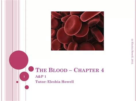Image result for Chapter 4 Blood Sign